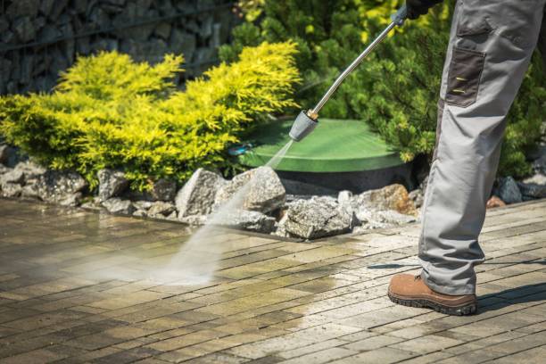 Best Driveway Pressure Washing  in Rushvle, IL